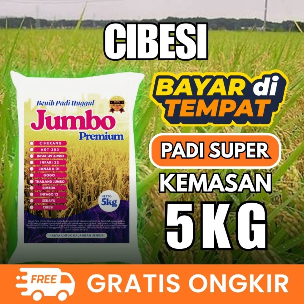 Bibit Benih Padi Unggul Cibesi 5kg Berkualitas