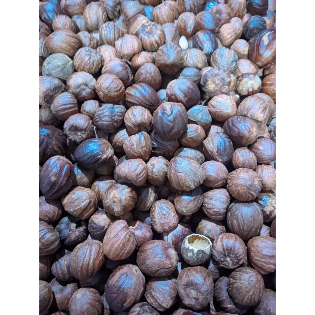 BIJI PALA KERING 1 KG