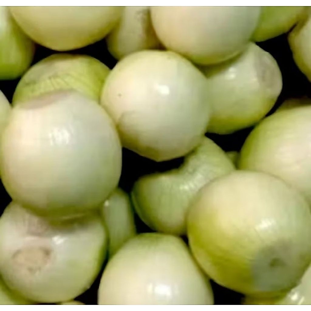 BAWANG BOMBAY KUPAS 1KG