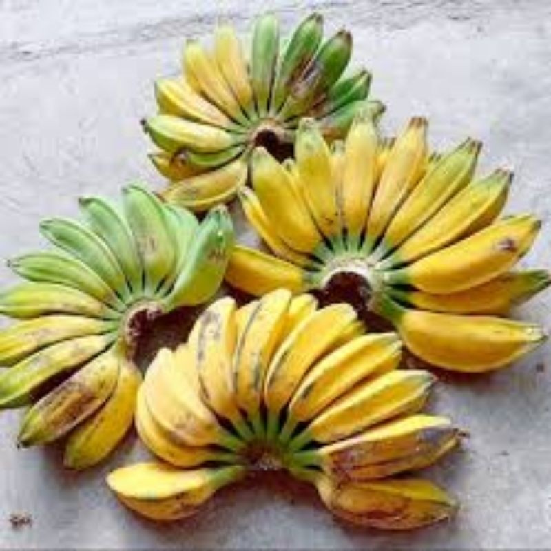 

pisang kepok sisir surabaya terlaris