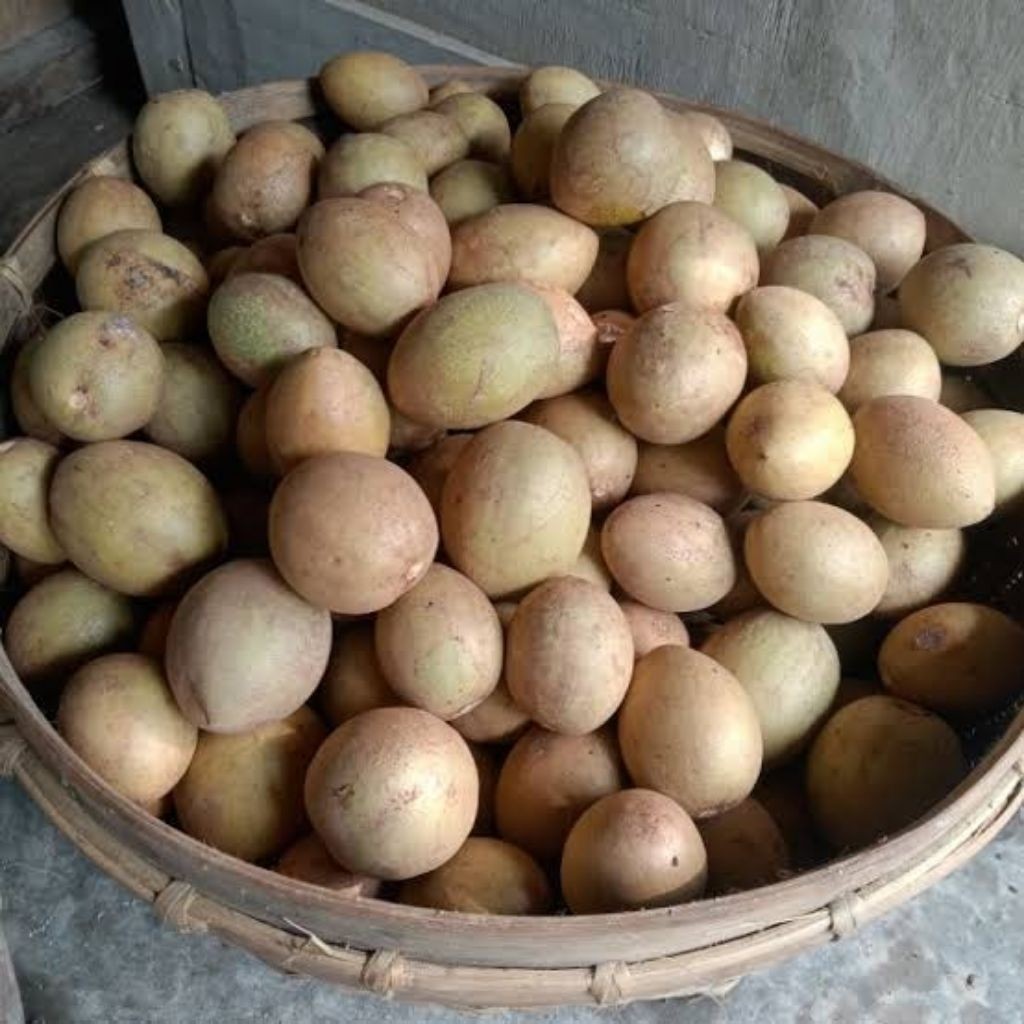 

sawo si madu 1kg khas pangandaran