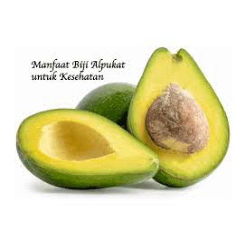 

Buah alpukat