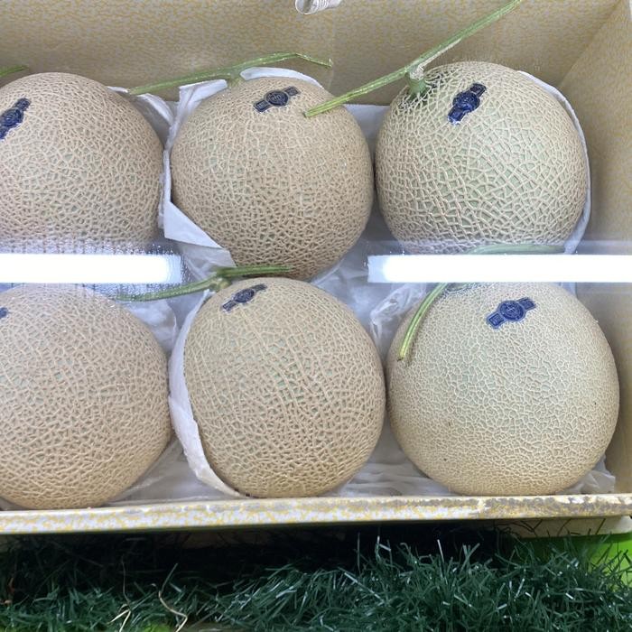 

Melon jepang musk crown | Buah melon crown jepang original super manis lembut pcs