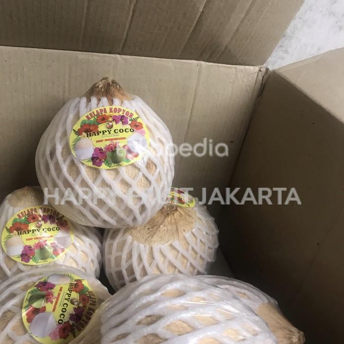 

kelapa kopyor happy coco / pcs