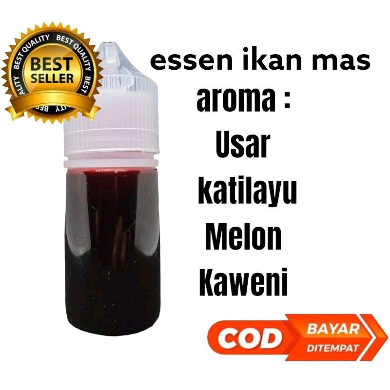 essen ikan mas paling ampuh essen ikan mas paling joss harian lomba galatama galapung-664 - NET
