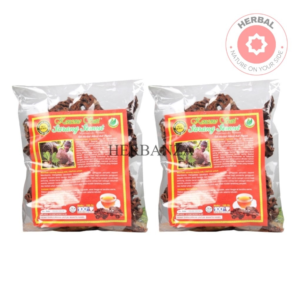 2 PCS Kencono Sari Sarang Semut Curah – Sarang Semut Papua Asli Alami – BPOM