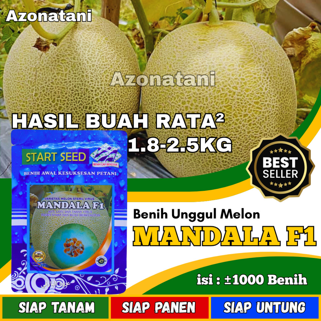 vrt - Benih Melon MANDALA F1 Bibit melon madu super manis | bibit melon madu super jumbo | benih mel