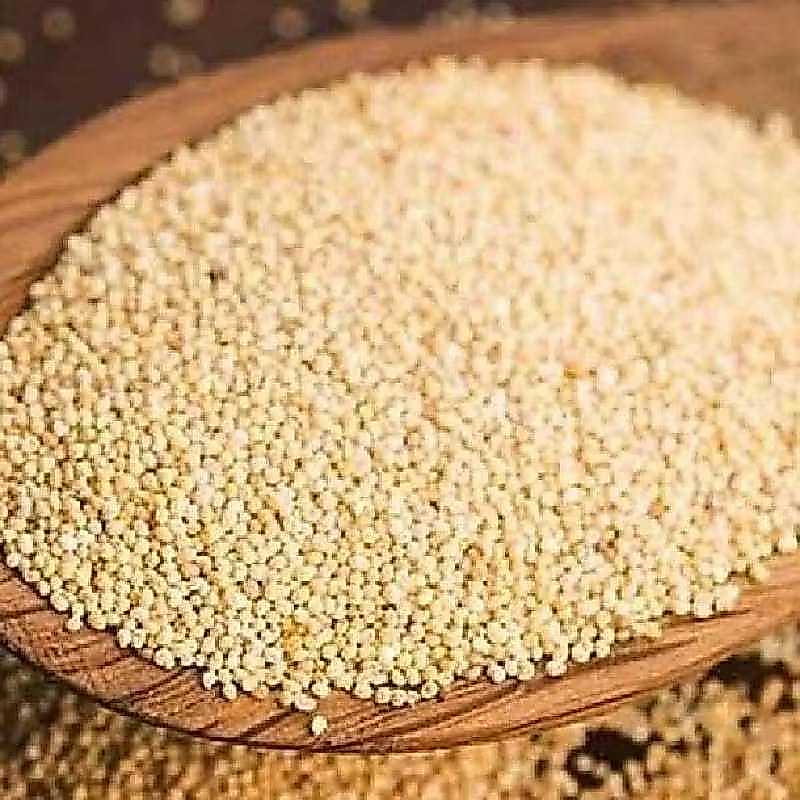 Kaskas Kaskas Kaca Kace Aceh Poppy Seed Kemasan 100gr 1ons