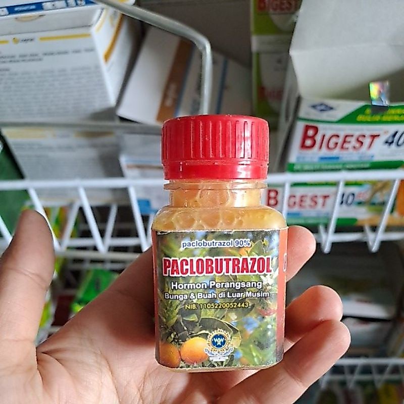 PACLOBUTRAZOL 60ML PUPUK ZPT