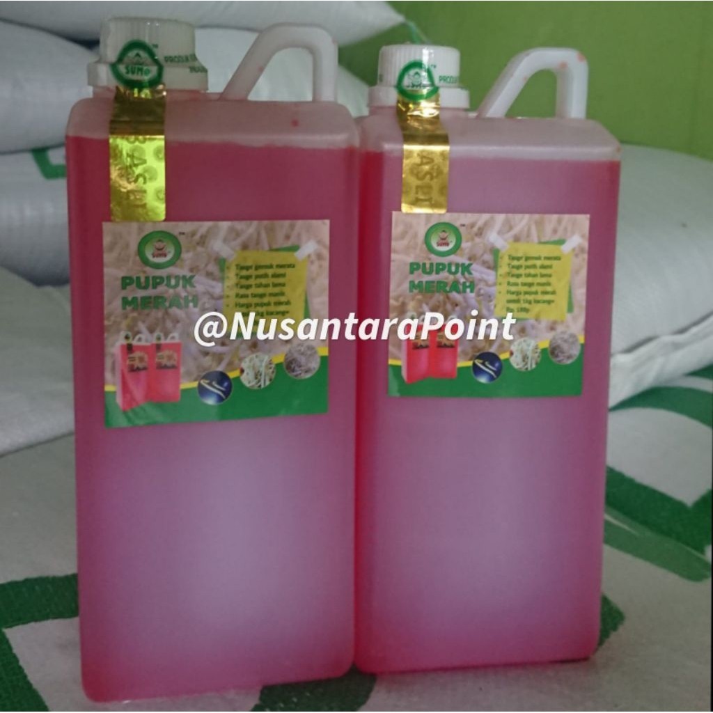 Pupuk Merah, Obat Merah Tauge/Toge 100%Original - Memperkuat akar, Tauge Putih, Gemuk Berkualitas
