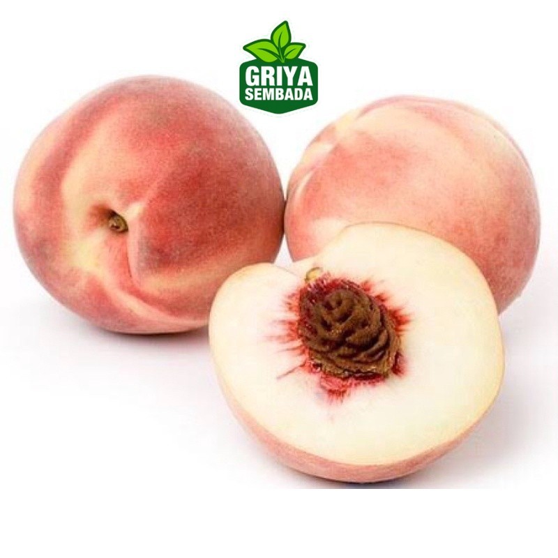 

Instant Peach White | Buah Persik Import 500grm Griya Sembada/ Semarang Griya Sembada