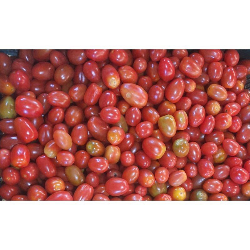 Tomat cherry 1kg