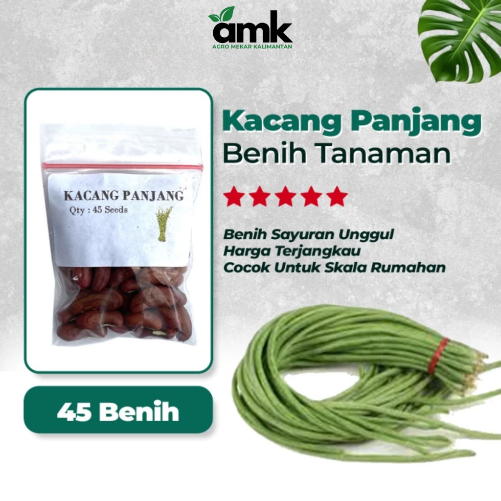 Benih Bibit KACANG PANJANG - Agro Mekar Kalimantan