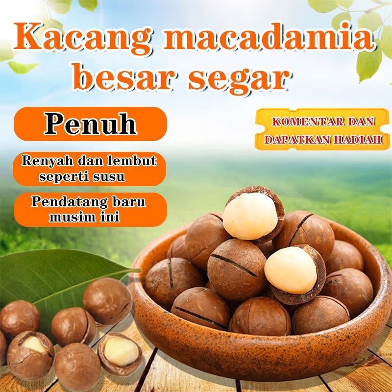 

⭐COD + Rekomendasi Produk Baru⭐Kacang macadamia 250g/Keripik renyah kelas A/Rasa susu besar/Camilan kacang kalengan rasa kasual/Rendah karbon, sehat, dan lezat