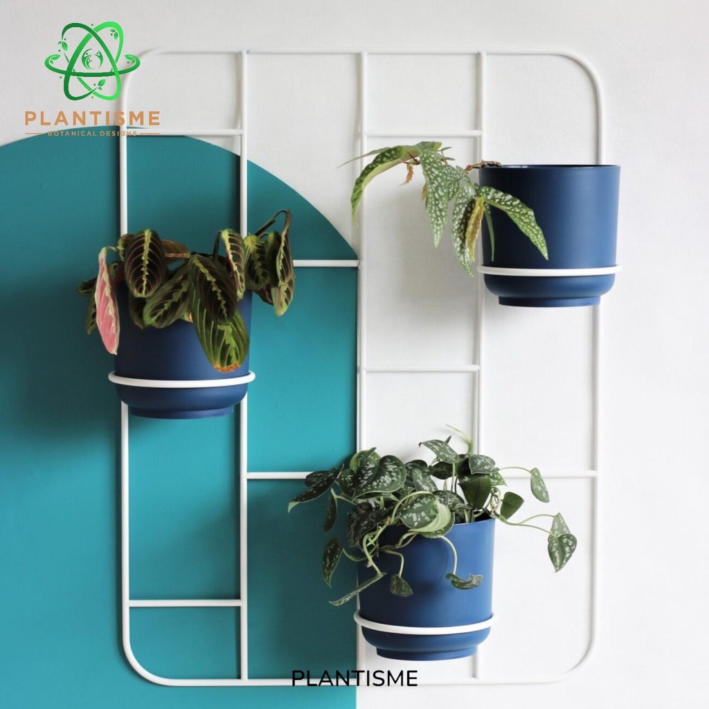 Rak Tanaman - Kratka Wall Planter Rak Dinding Besi Motif Grid 3 Slot Pot Tanaman Desain Fleksibel Mi