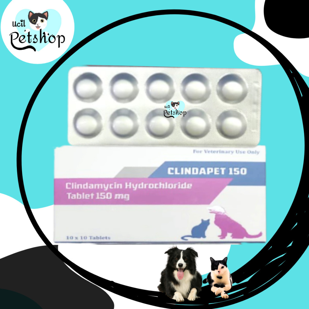 Clindapet Clindamycin 150mg For Cats & Dogs (1 BOX = 10 BLISTER) - Anti Bakteri / Infeksi Pada Kucin