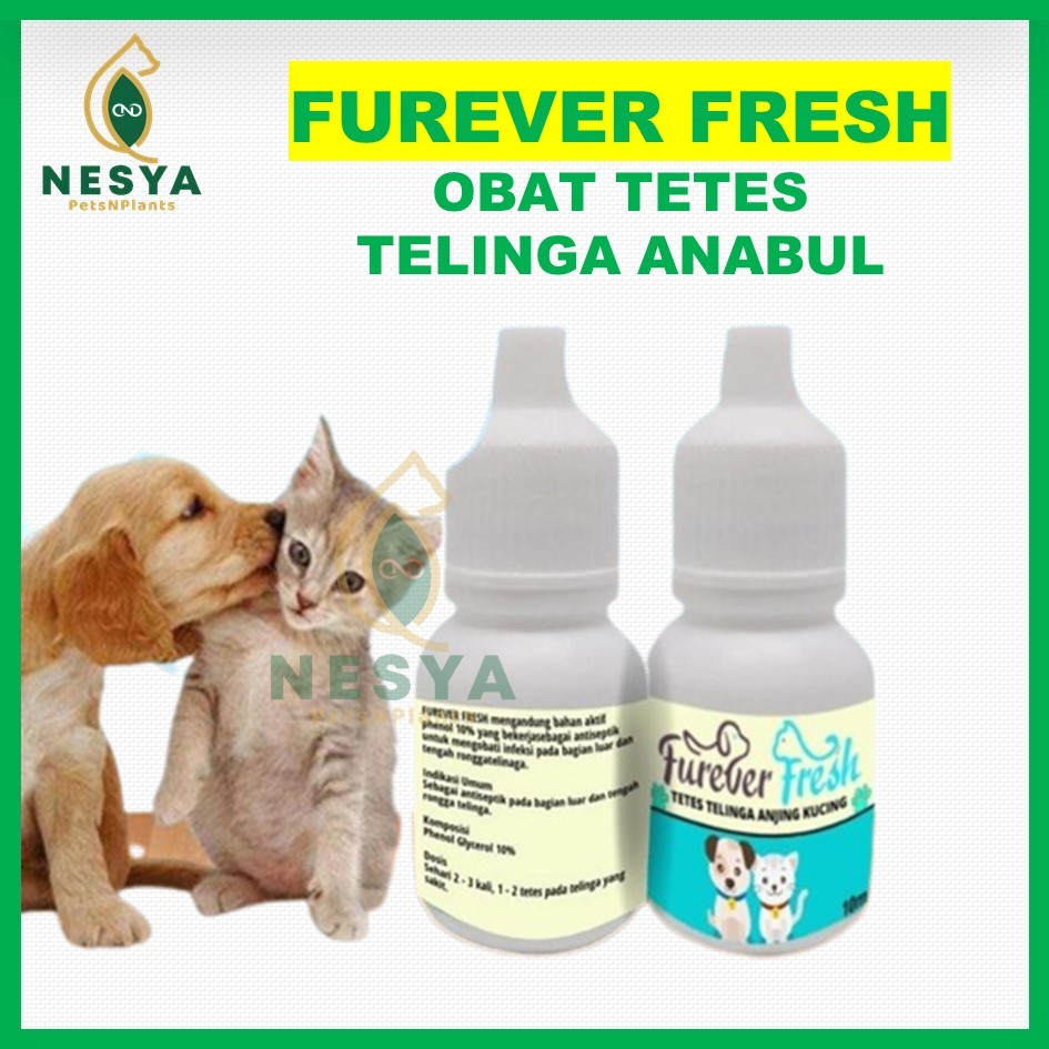 Obat Tetes Earmites - Obat Infeksi Telinga Hewan Kucing Anjing