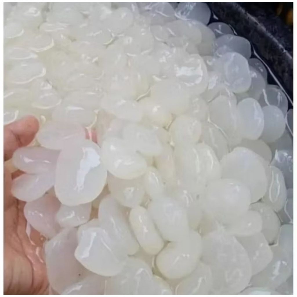 

kolang Kaling paket 1KG SIAP KIRIM