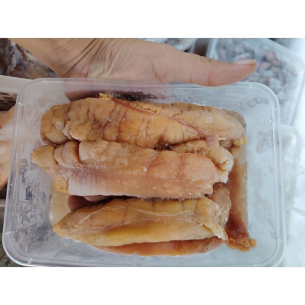 TELUR IKAN KAKAP