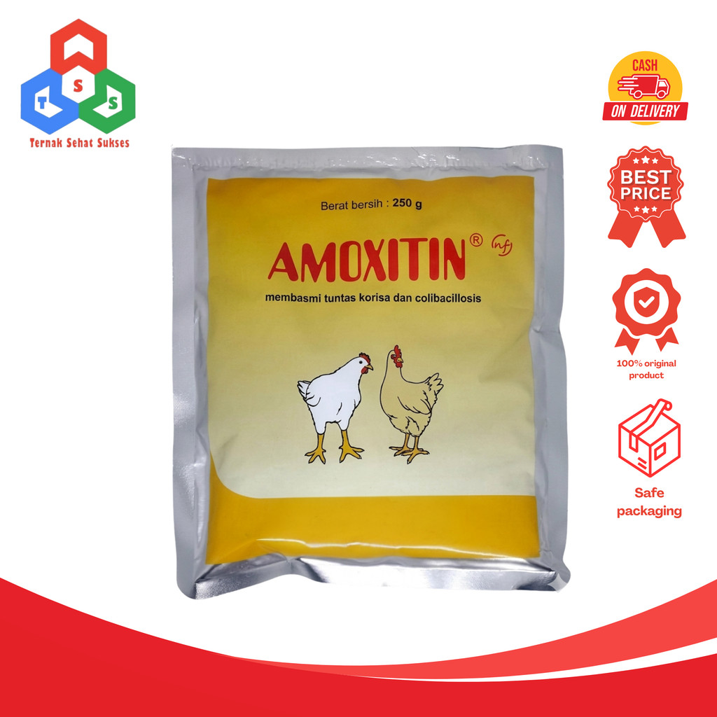 Amoxitin 250 gram MEDION obat korisa
