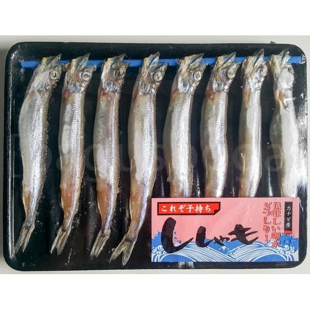 

Shishamo Size L 170 gr x 8