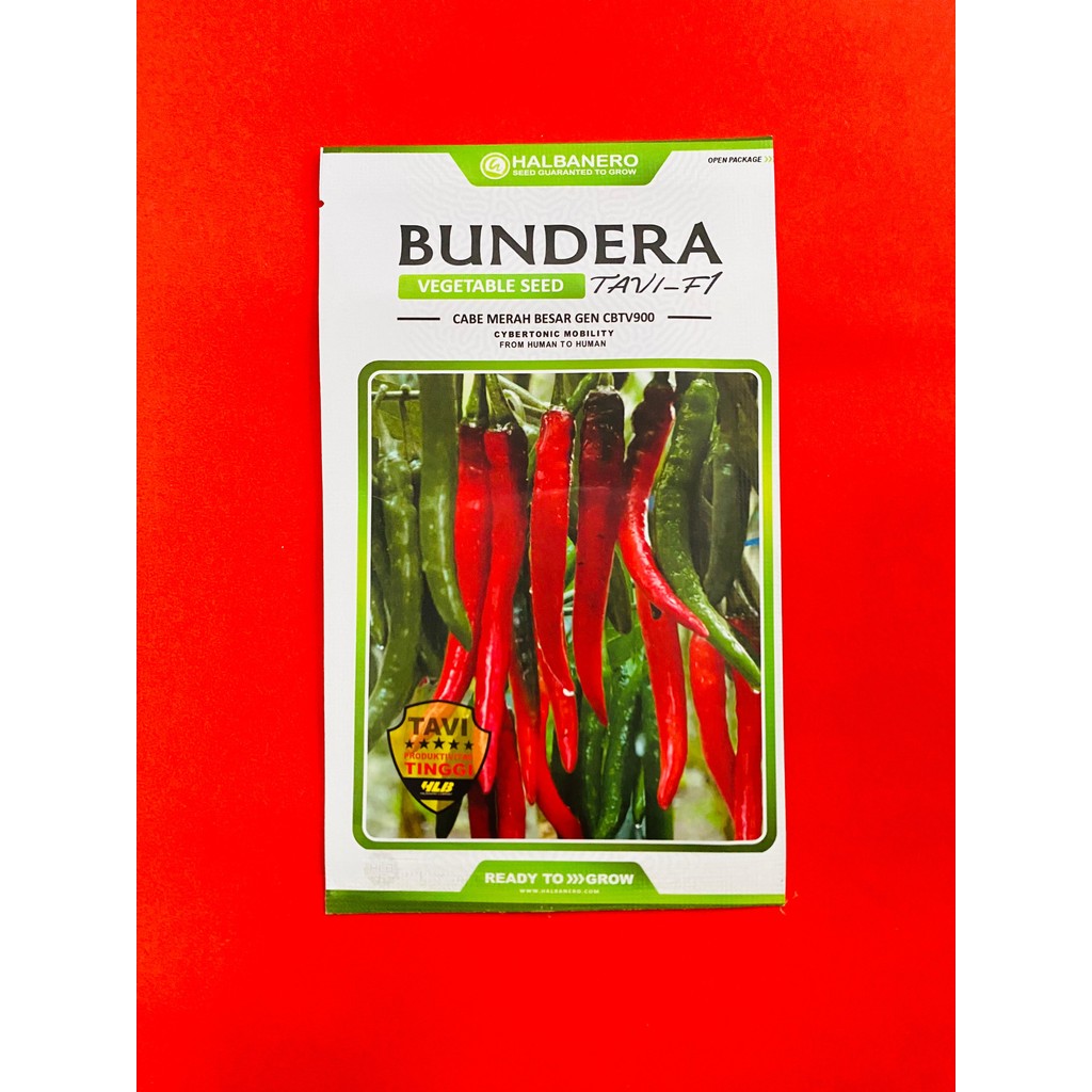 Benih Cabai besar gen cbtv900 BUNDERA TAVI F1 isi 1600 biji tipe merunduk dari HALBANERO