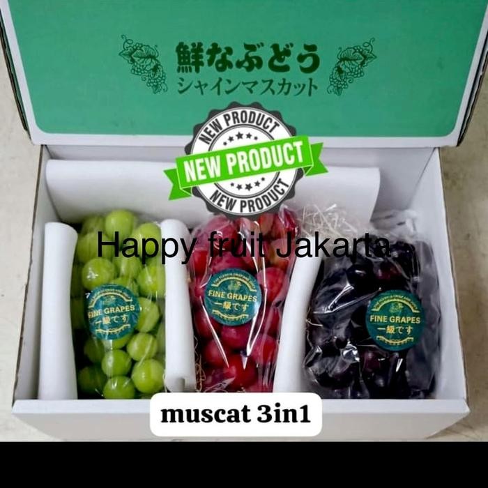 

Anggur muscat mix 3 warna | paket anggur muscat campur 3 warna box