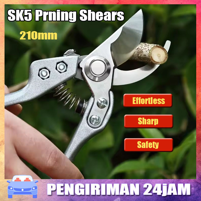 Gunting dahan ranting kapusi original Gunting pruning durian Gunting Bonsai Kapusi Japan stainless s