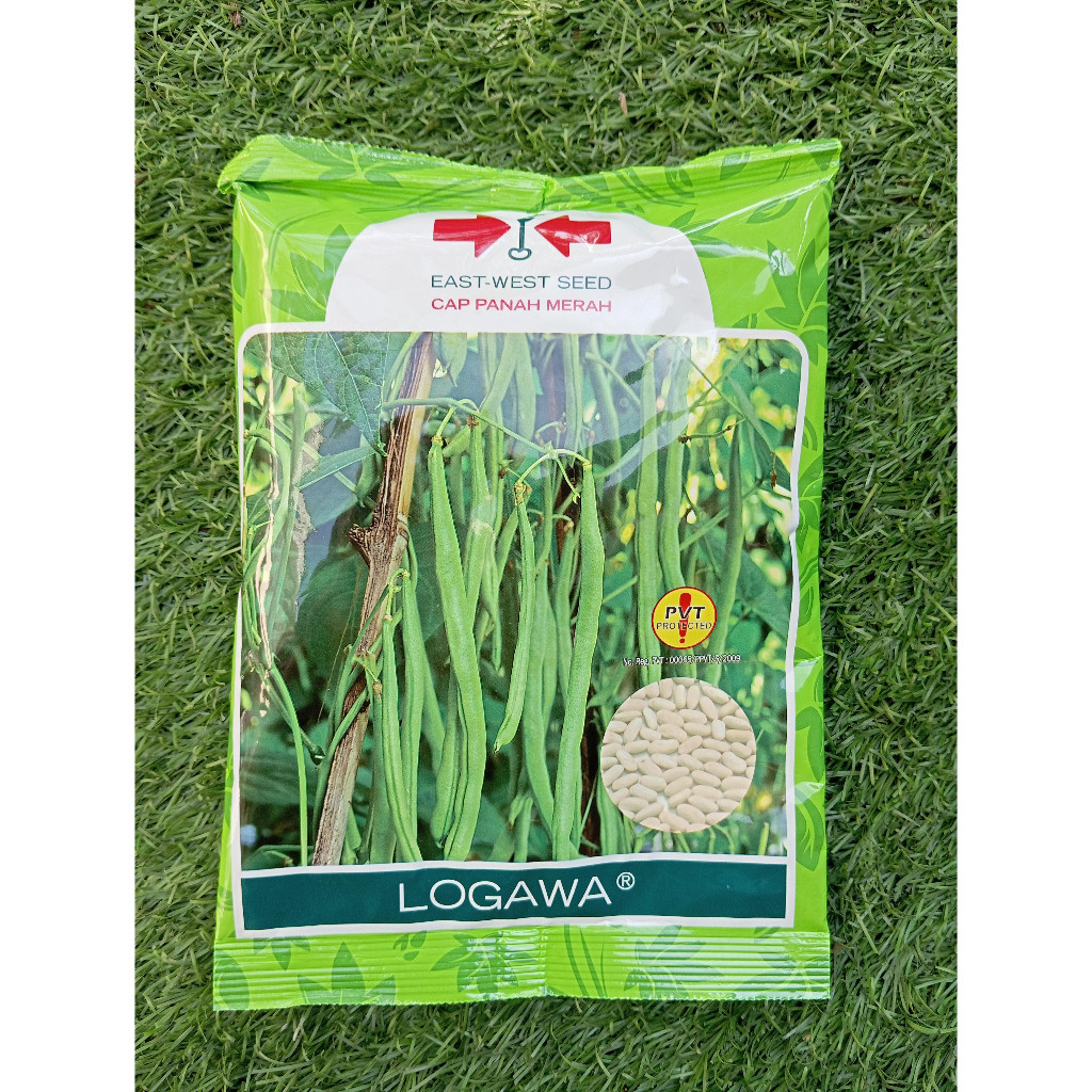 GERISAL Benih Buncis Logawa 500gram