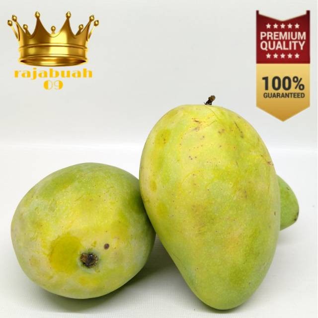 

Buah Mangga Harum Manis / Mangga 1 kg Fresh
