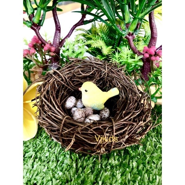 miniatur sarang burung, telur ayam, telur burung utk bermain sensory anak, diorama, art n craft , be