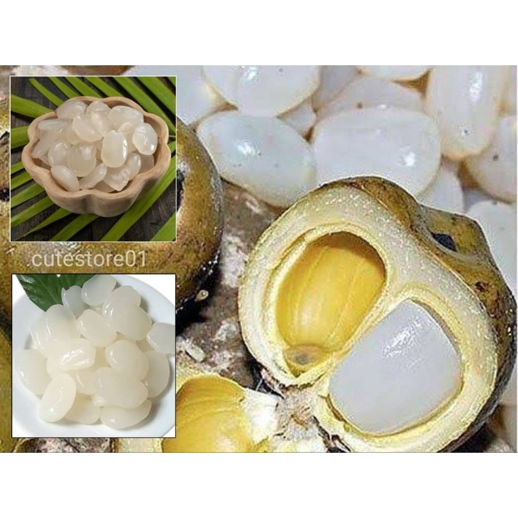 

Kolang Kaling 1kg Termurah