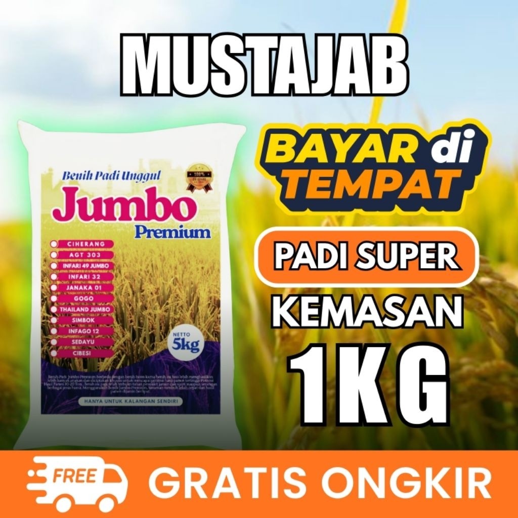 Bibit Padi Unggul Mustajab 1kg Berkualitas