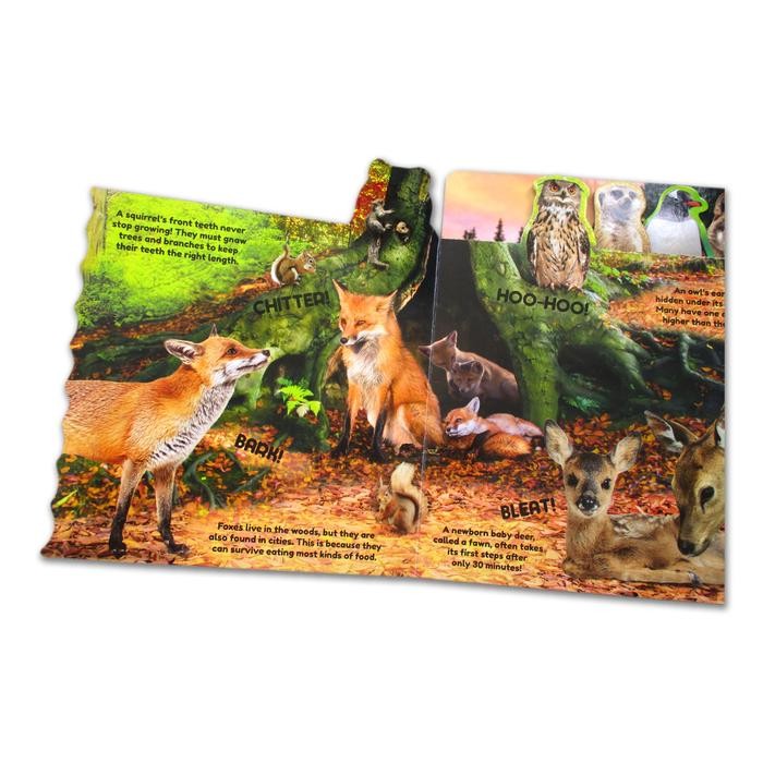 

ANIMALS / FARM Tabbed Sound Board Book With 20 Sounds and Fun Facts! - FARM