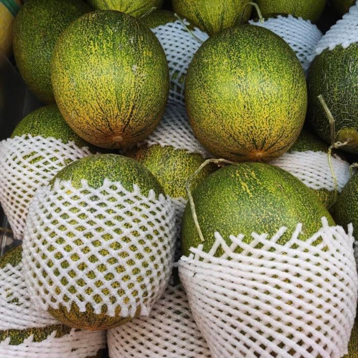 

melon amikwa hydroponic super manis / melon garing dan manis