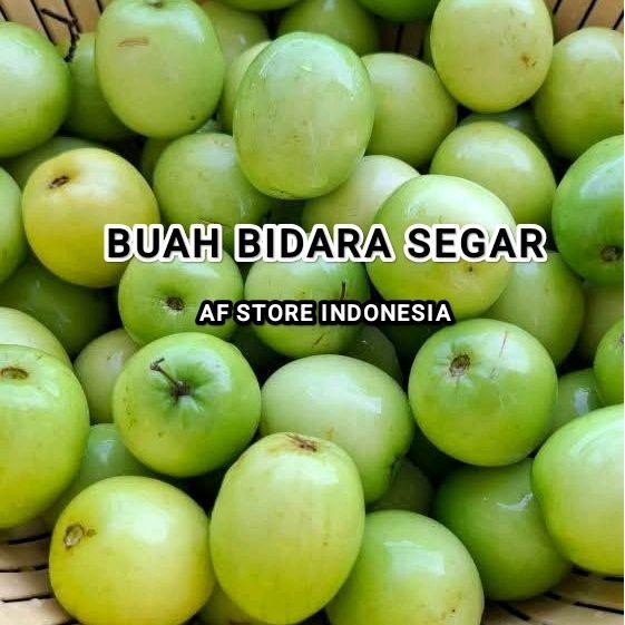 

BUAH BIDARA SEGAR FRESH 1 KG - DIPETIK SAAT ORDERAN MASUK Frozen Gula Zuriat
