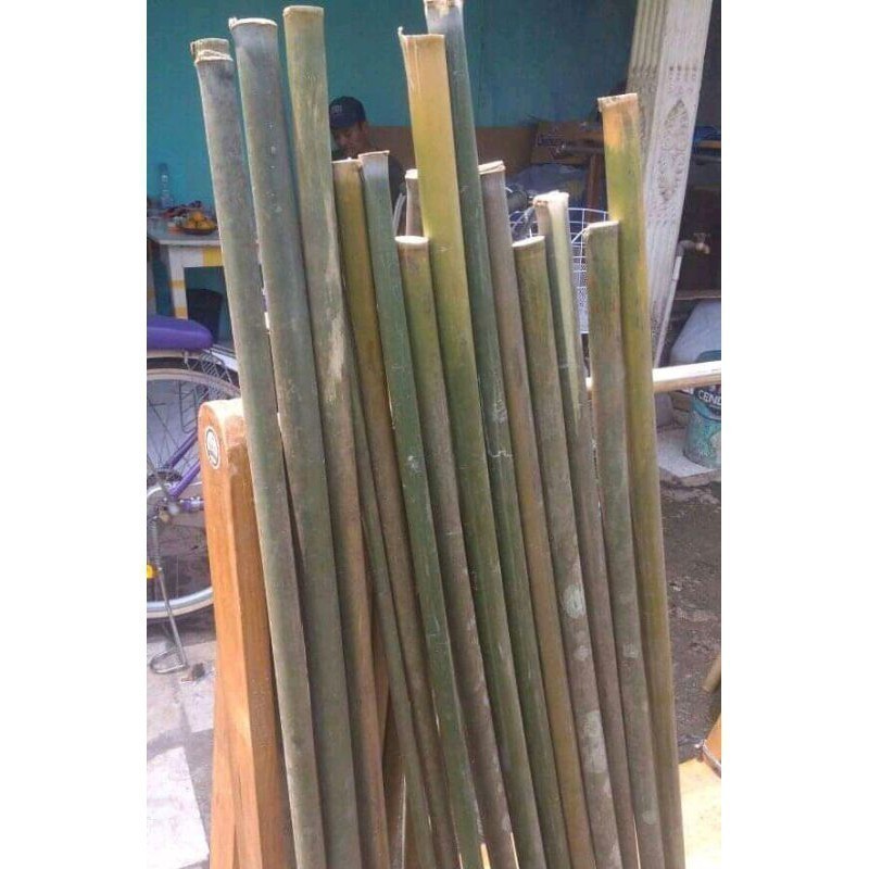 bambu tamiang panjang 150 cm satu ruas