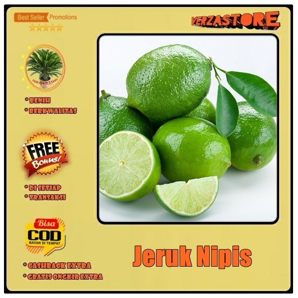 biji benih Buah Jeruk nipis /20 biji