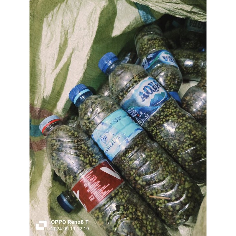 Andaliman Segar 1 Kg