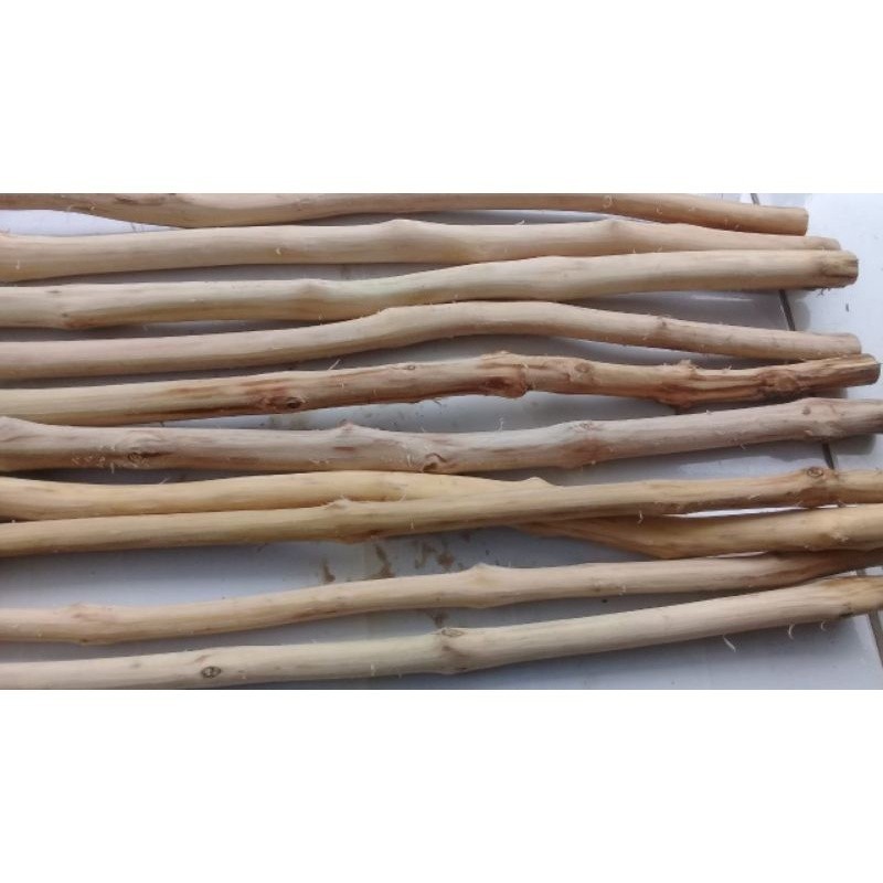 

Tangkringan kayu kopi diameter 3 cm