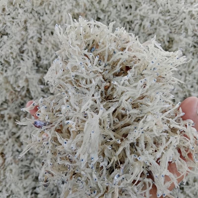 

Teri Nasi Tawar Halus Kering Super Gurih Food Teri Touge