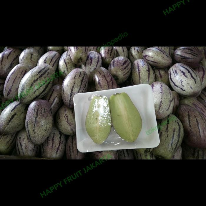 

Buah Peppino 1 kg