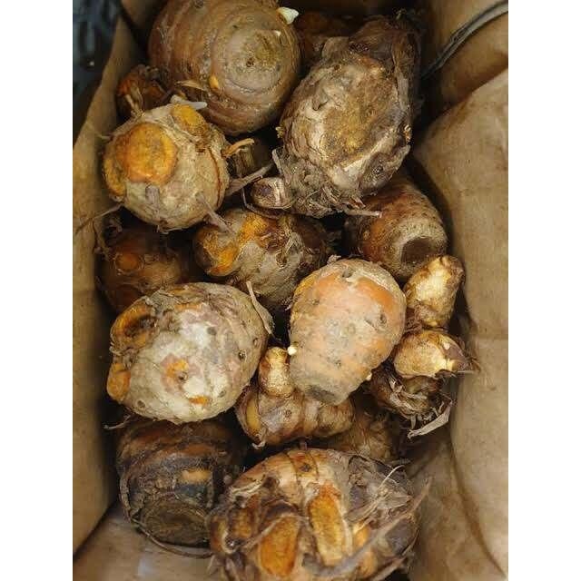 

TEMULAWAK SEGAR 1KG ORIGINAL
