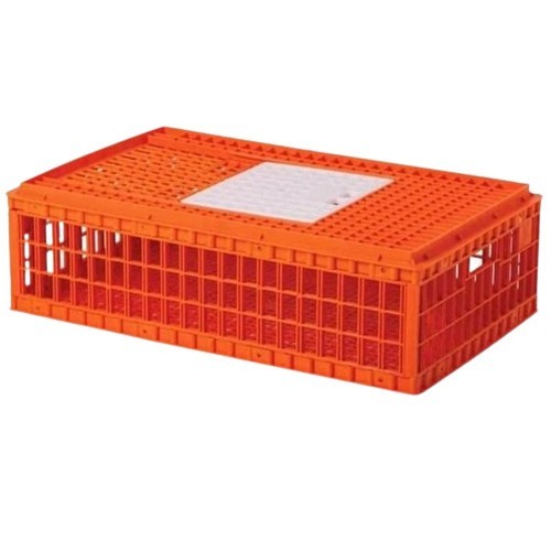 Keranjang Kandang Ayam Potong Plastik Box Container 881 PUP