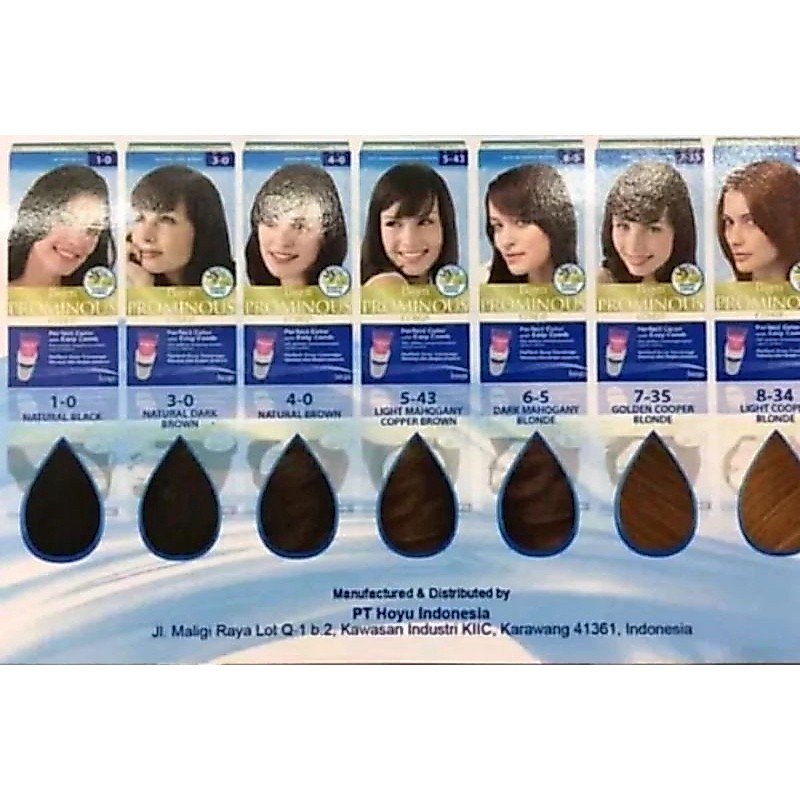 PROMO Bigen prominous color perfect color with Easy comb _netto 50g +75ml