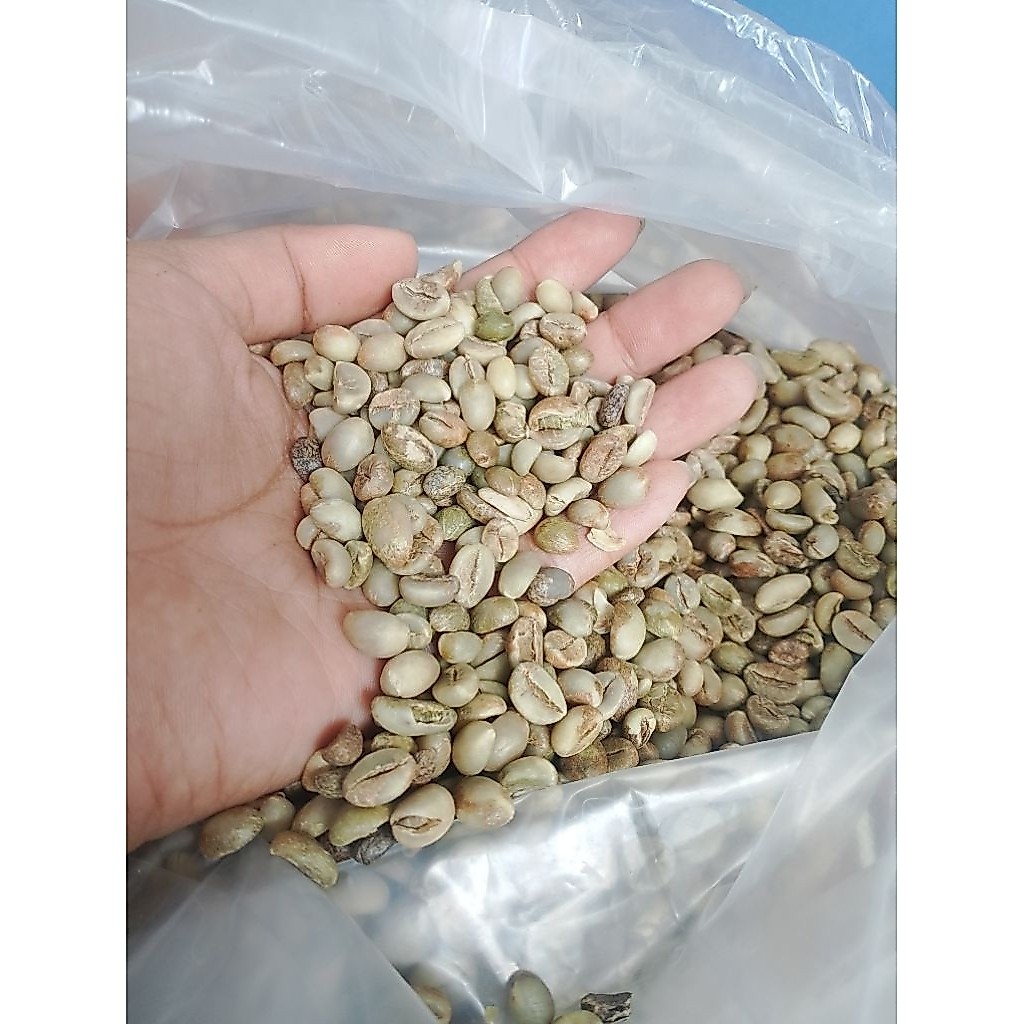 KOPI BIJI | KOPI ROBUSTA | ARABIKA | KOPI KILOAN | KOPI ARJUNA | KOPI | ROBUSTA | ARABIKA |