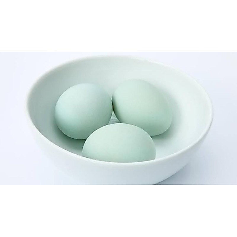 Telur Bebek Mentah 1 Butir Telor Endog - Omod Sayur Bandung