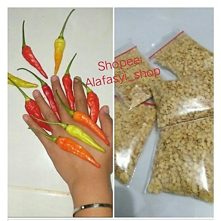 Biji Cabe Rawit JUMBO Cabe NANO Aceh 10gram/Cabe sambal Ayam Penyet/Cabe setan