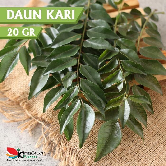 

Daun Kari/Curry Leaves Fresh Inagreen Bandung