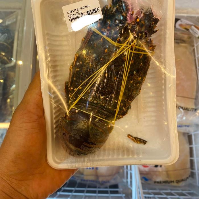 

Lobster frozen | lobster super pack frozen /pcs